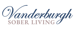 VSL Logo - Transparent Background (1)-1