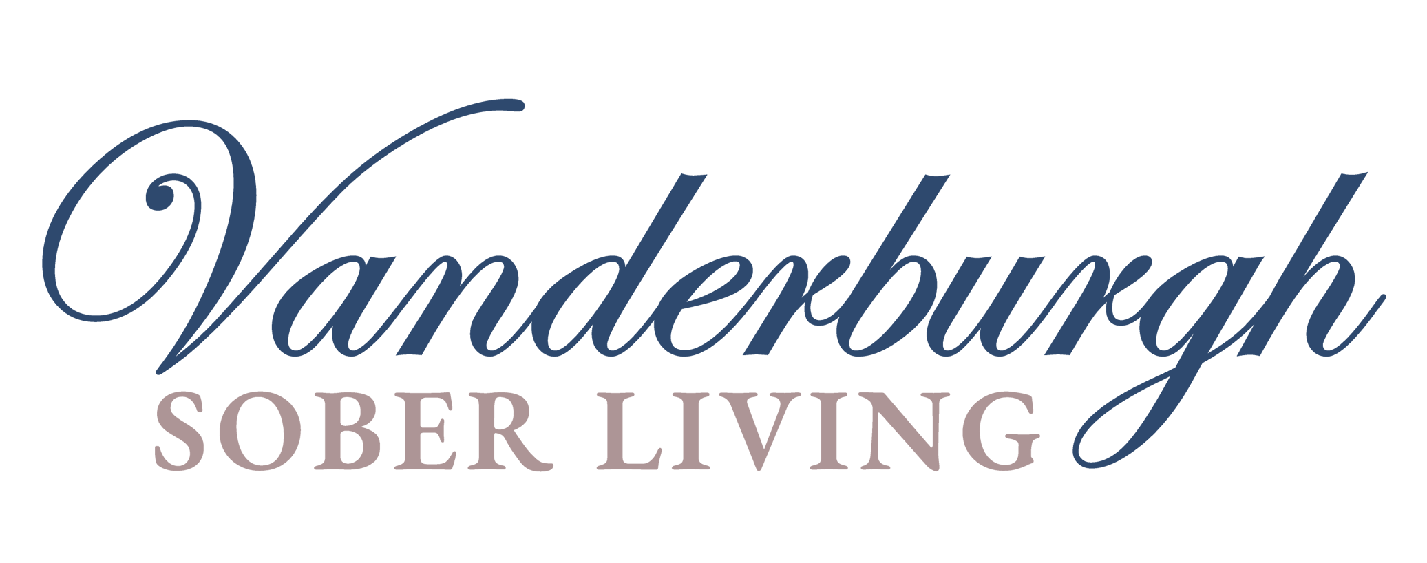 VSL Logo - Transparent Background (1)-1