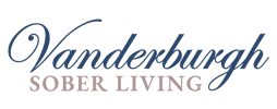VSL Standard Logo - Transparent Background